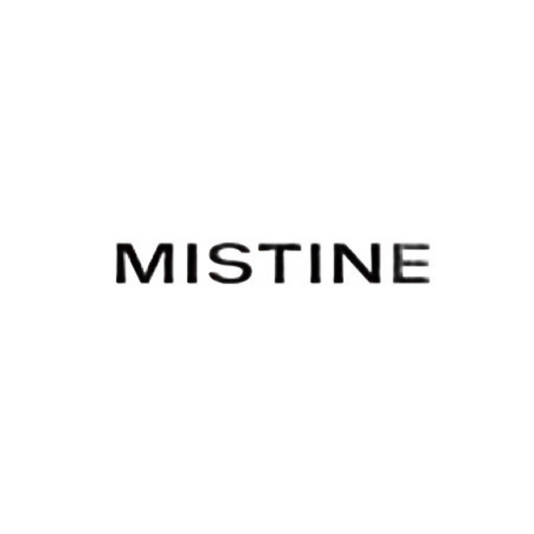 MISTINE 蜜丝婷