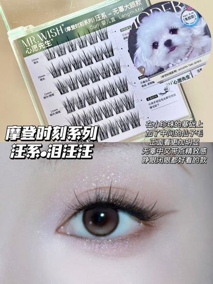 心愿先生假睫毛