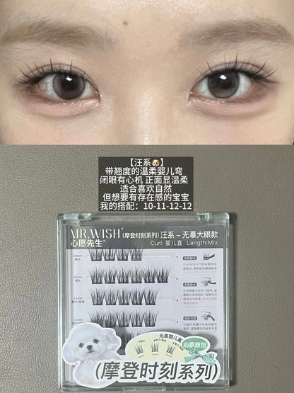 心愿先生假睫毛